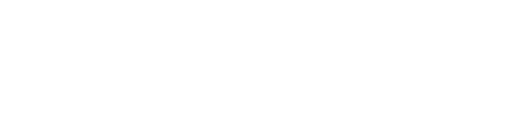 Zenithland Developer